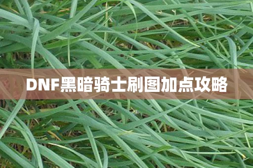 DNF黑暗骑士刷图加点攻略图片