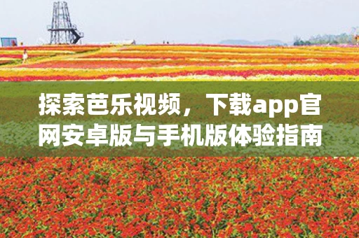 下载app官网安卓版与手机版体验指南图片