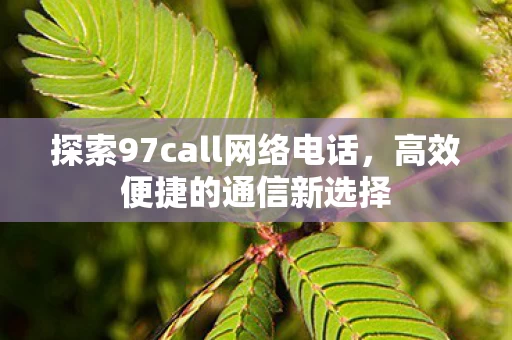探索97call网络电话图片