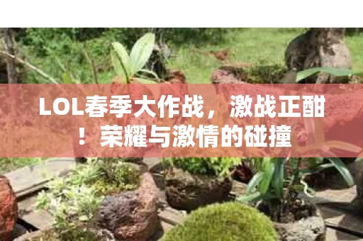 LOL春季大作战图片
