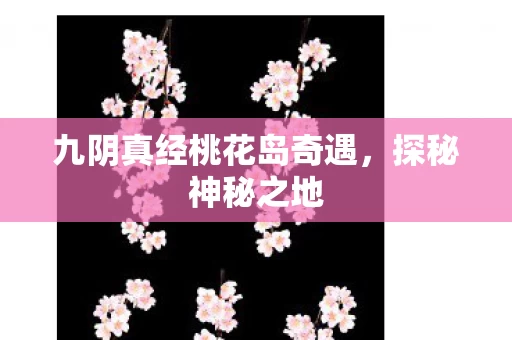 九阴真经桃花岛奇遇图片