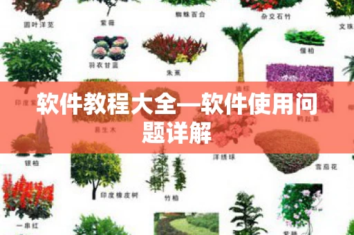 软件使用问题详解图片