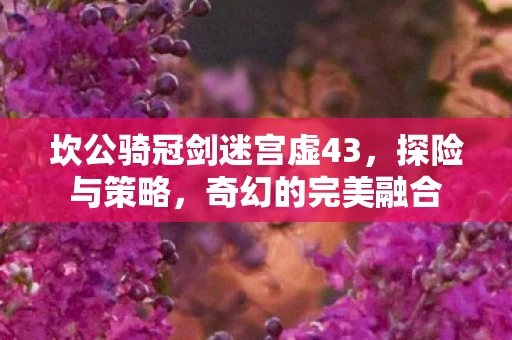 坎公骑冠剑迷宫虚43图片