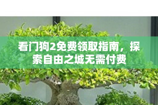 看门狗2免费领取指南图片