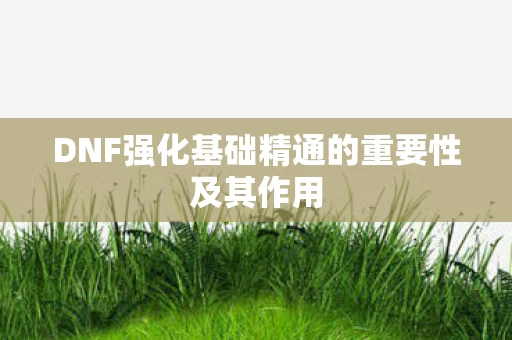DNF强化基础精通的重要性及其作用图片