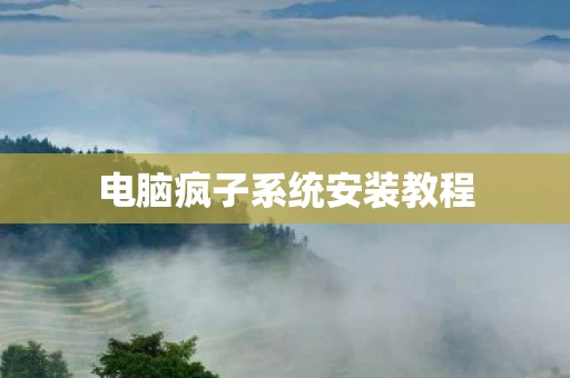 电脑疯子系统安装教程图片
