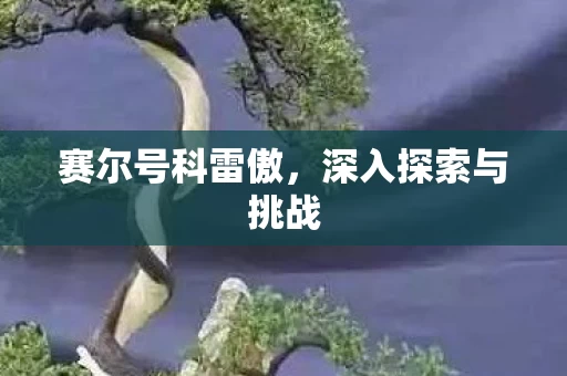 深入探索与挑战图片
