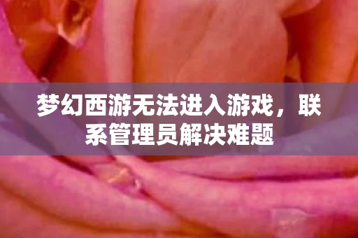 梦幻西游无法进入游戏图片