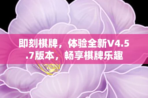 体验全新V4图片