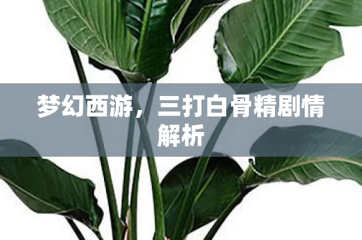三打白骨精剧情解析图片