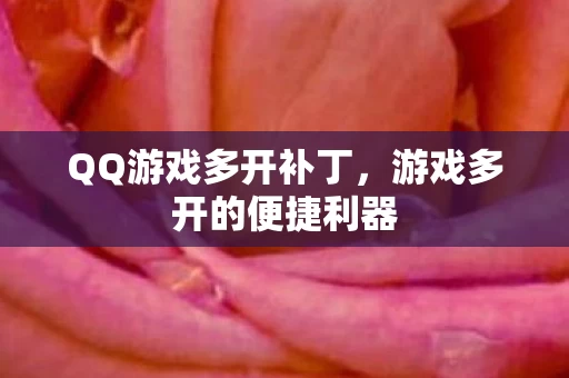 游戏多开的便捷利器图片