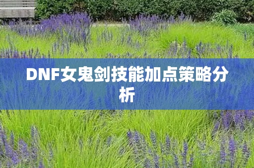 DNF女鬼剑技能加点策略分析