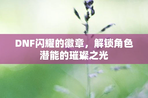 DNF闪耀的徽章，解锁角色潜能的璀璨之光