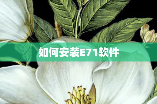 如何安装E71软件图片