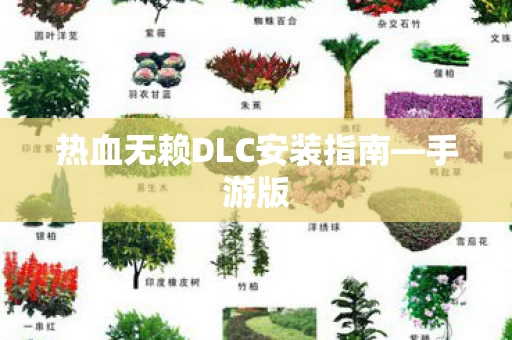 热血无赖DLC安装指南图片
