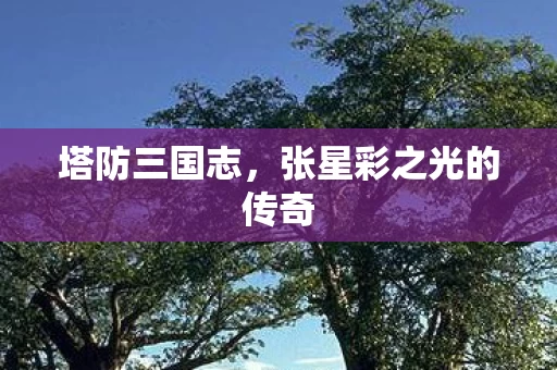 张星彩之光的传奇图片