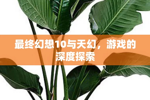 最终幻想10与天幻图片