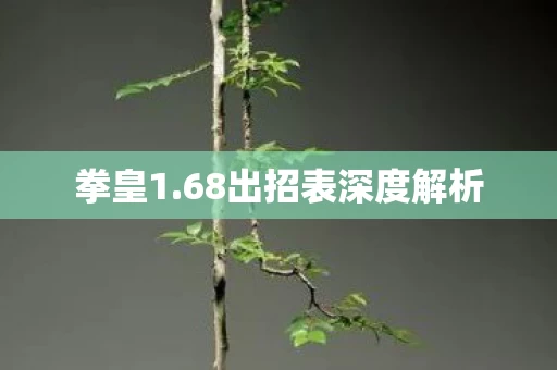 68出招表深度解析图片