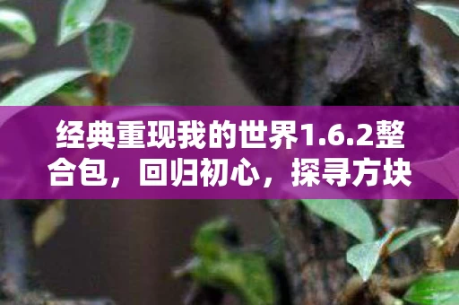 经典重现我的世界1图片