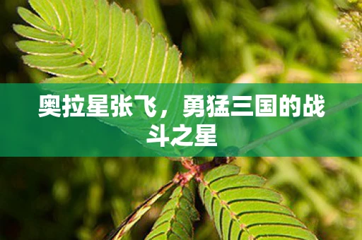 奥拉星张飞，勇猛三国的战斗之星