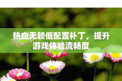 热血无赖低配置补丁图片