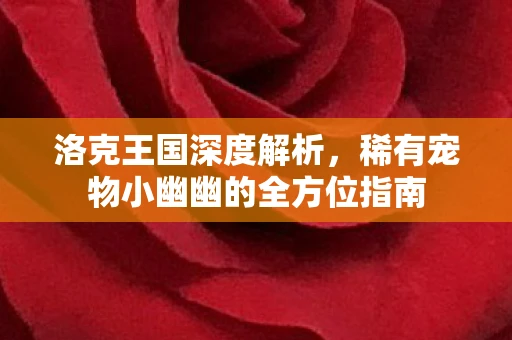 洛克王国深度解析，稀有宠物小幽幽的全方位指南