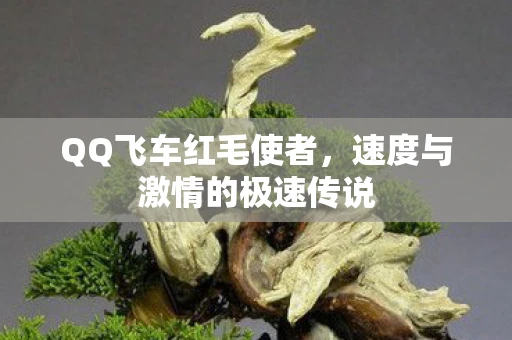 QQ飞车红毛使者，速度与激情的极速传说