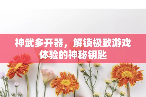 解锁极致游戏体验的神秘钥匙图片
