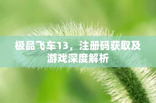 注册码获取及游戏深度解析图片