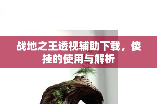 战地之王透视辅助下载图片