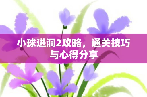 通关技巧与心得分享图片