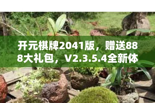 开元棋牌2041版图片
