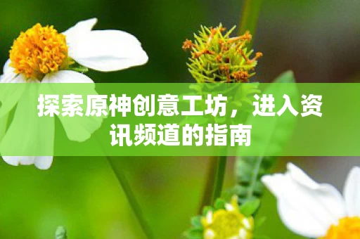 进入资讯频道的指南图片