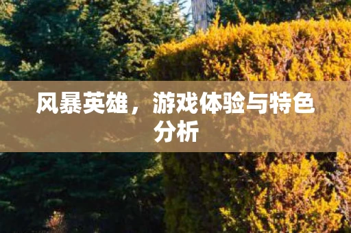 游戏体验与特色分析图片