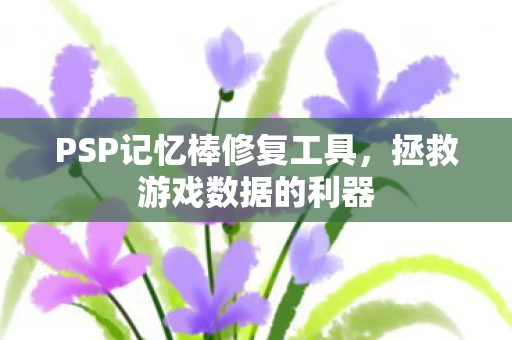 PSP记忆棒修复工具图片