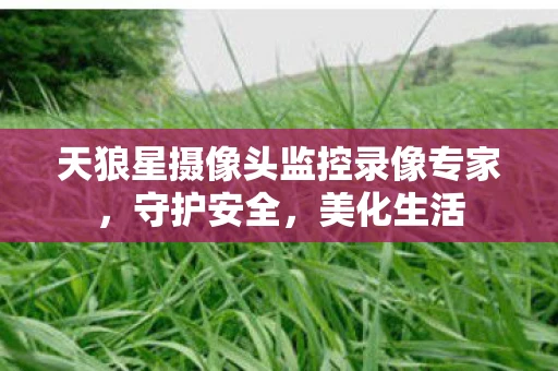 天狼星摄像头监控录像专家，守护安全，美化生活