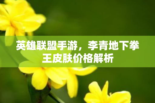 李青地下拳王皮肤价格解析图片