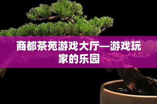 商都茶苑游戏大厅图片