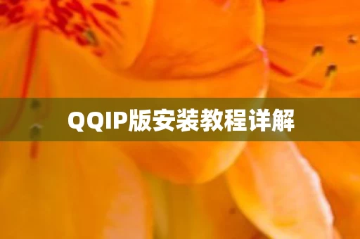 QQIP版安装教程详解图片