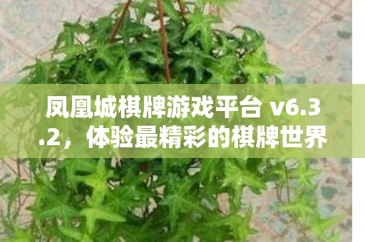 凤凰城棋牌游戏平台 v6.3.2，体验最精彩的棋牌世界