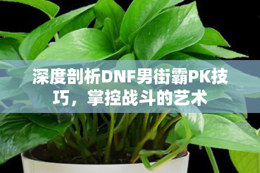 深度剖析DNF男街霸PK技巧，掌控战斗的艺术