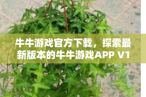 牛牛游戏官方下载，探索最新版本的牛牛游戏APP V1.4.2.5