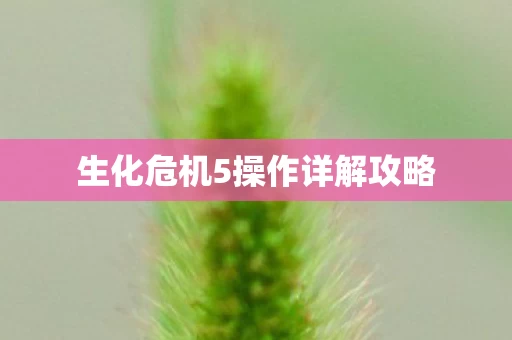 生化危机5操作详解攻略图片