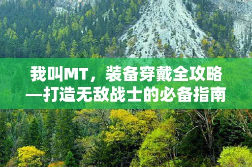 打造无敌战士的必备指南图片