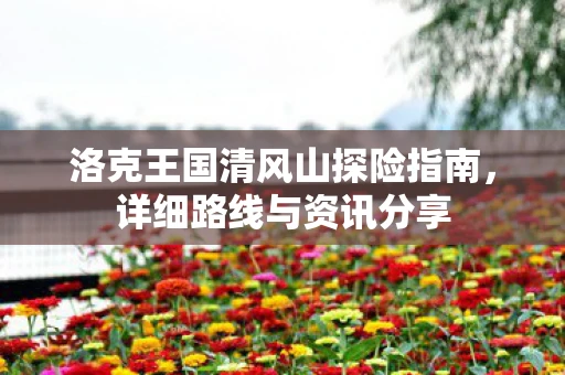 洛克王国清风山探险指南，详细路线与资讯分享