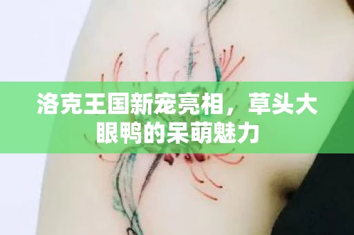 草头大眼鸭的呆萌魅力图片