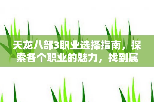 天龙八部3职业选择指南图片