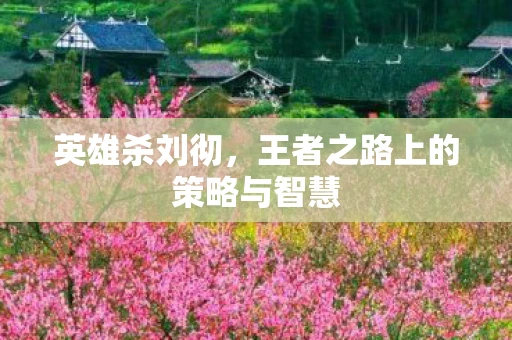 英雄杀刘彻，王者之路上的策略与智慧