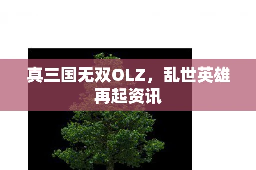 真三国无双OLZ，乱世英雄再起资讯