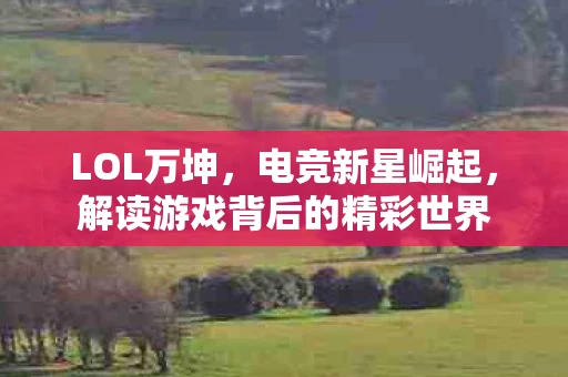 解读游戏背后的精彩世界图片